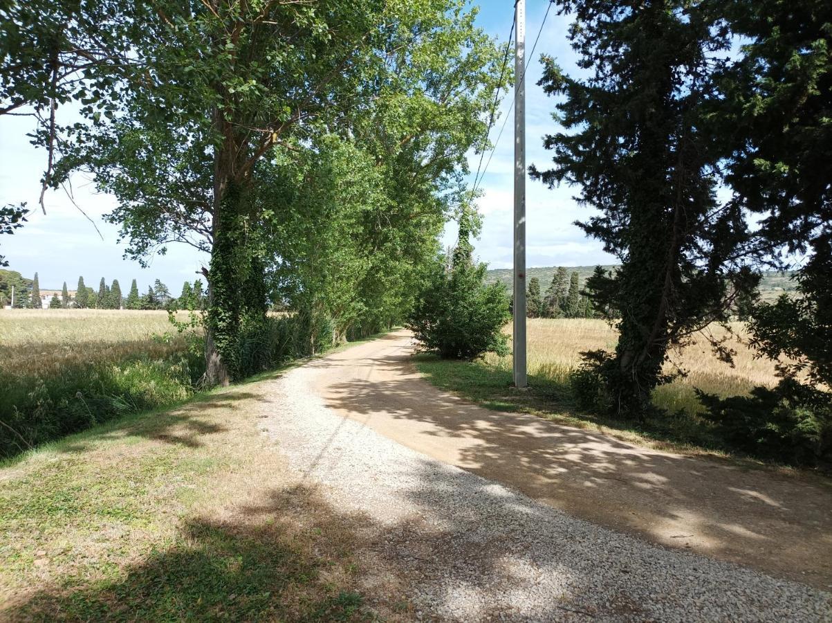فيلا Domaine Le Piboul Fontcouverte  المظهر الخارجي الصورة